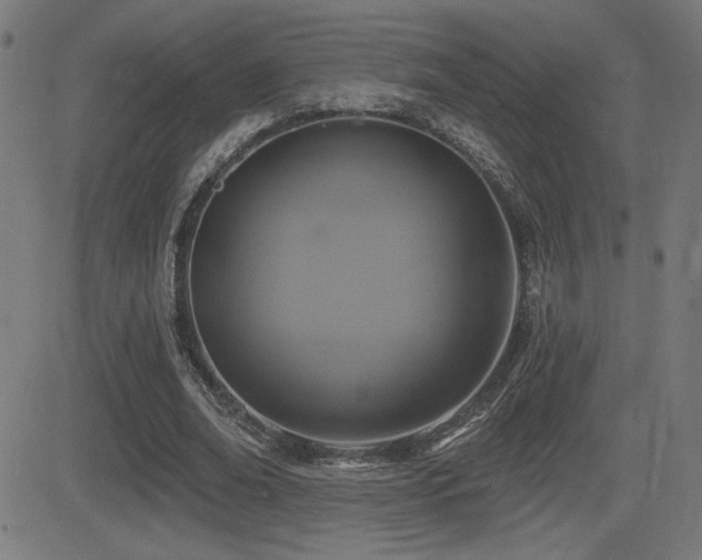 X0000081380678200701111453
