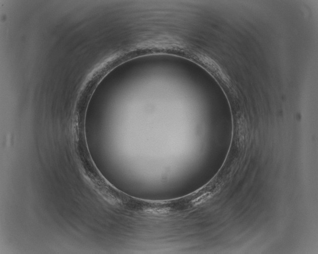 X0000081380680200701111453