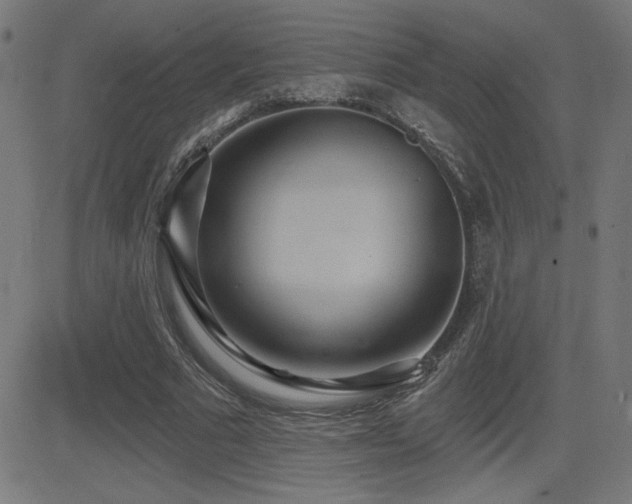 X0000081380681200701111453