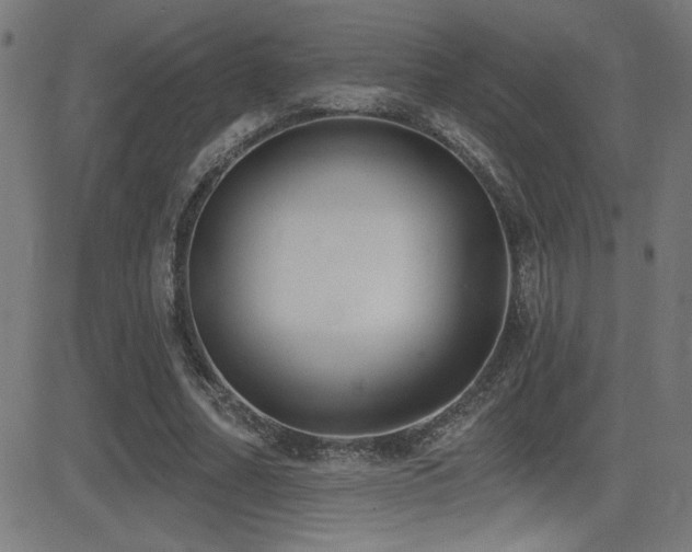 X0000081380682200701111453