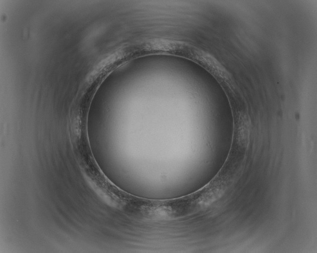 X0000081380683200701111453