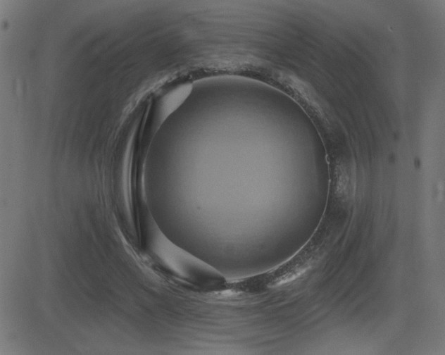X0000081380685200701111453