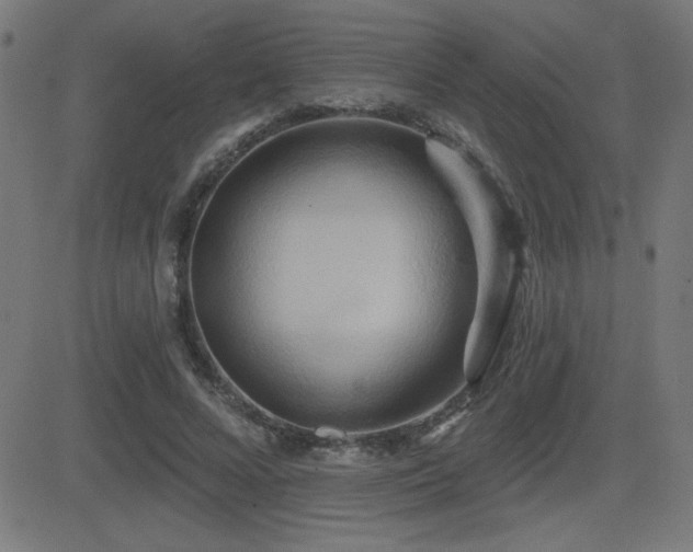 X0000081380688200701111453