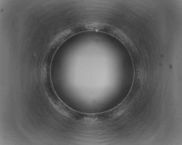 X0000081380690200701111452