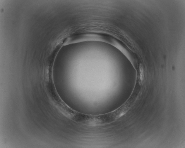 X0000081380696200701111452