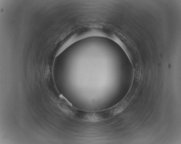 X0000081380704200701111452