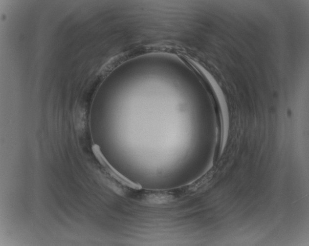 X0000081380708200701111452