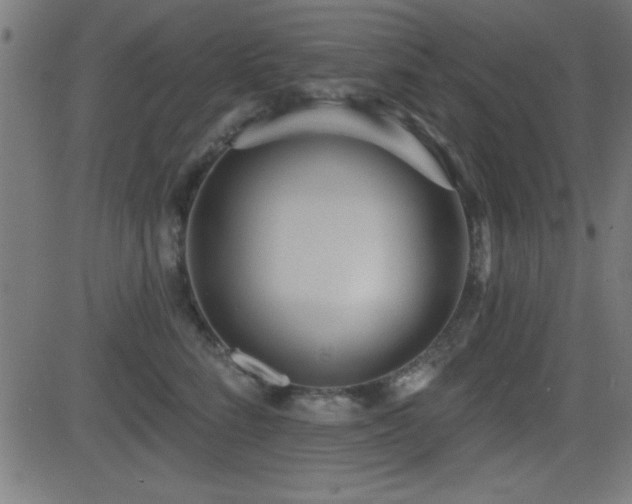 X0000081380712200701111452