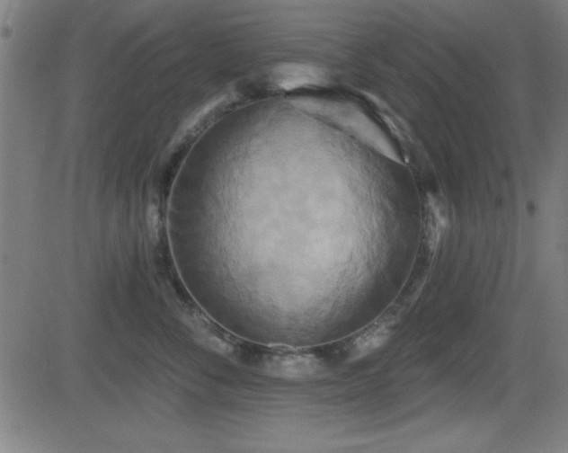 X0000081380716200701111452