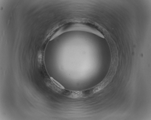 X0000081380720200701111452