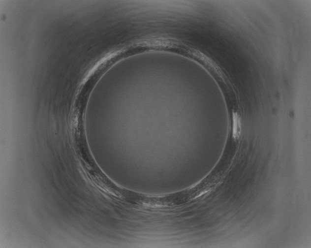 X0000081380723200701111451