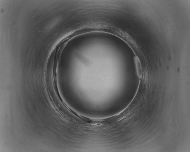 X0000081380724200701111451