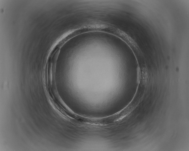 X0000081380726200701111451