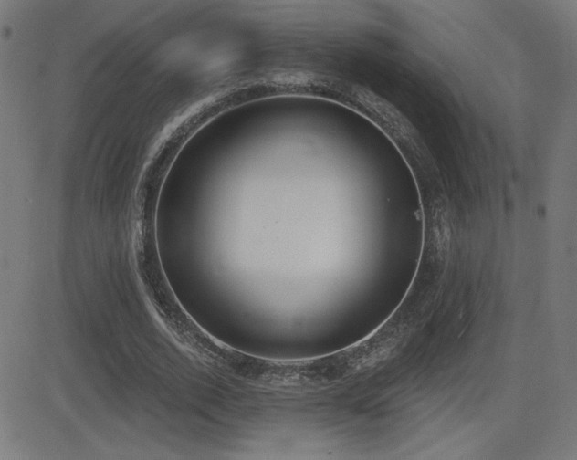 X0000081380728200701111451