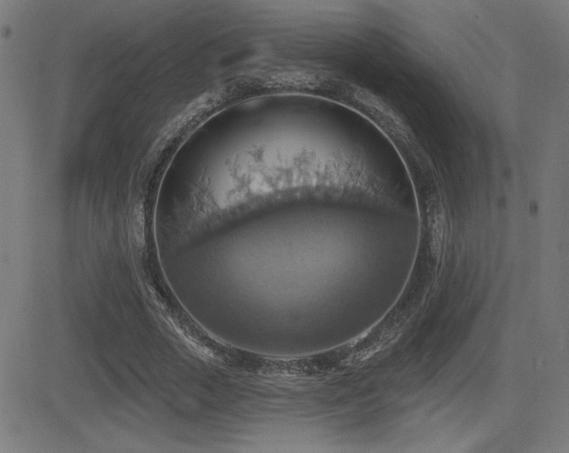 X0000081380729200701111451