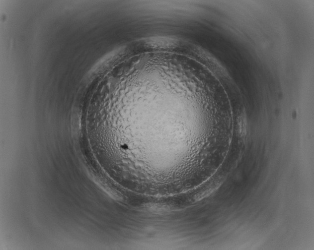 X0000081380733200701111451