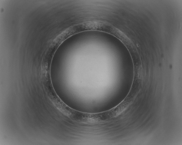 X0000081380737200701111451