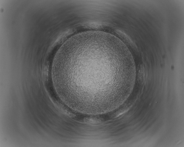 X0000081380739200701111451