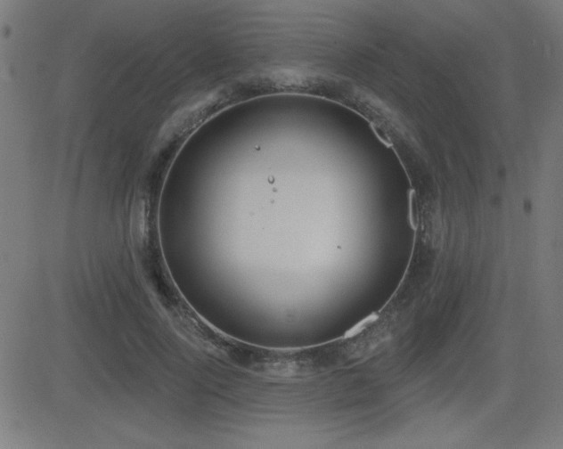 X0000081380740200701111452