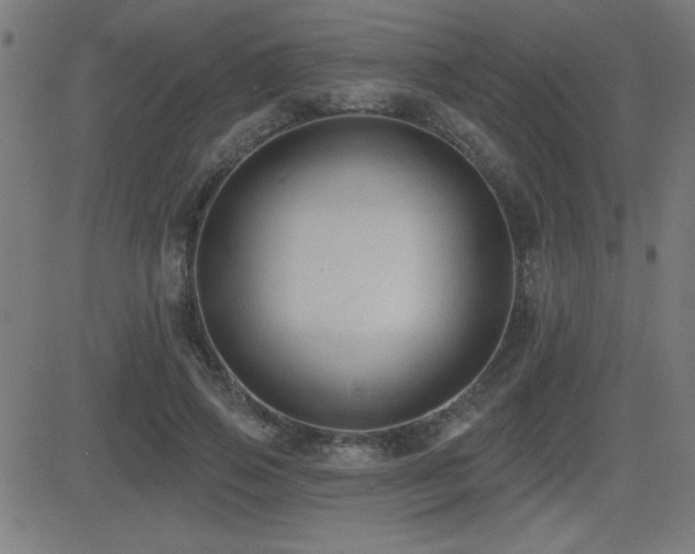 X0000081380741200701111452