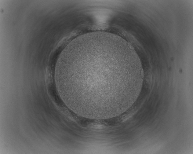 X0000081380743200701111452
