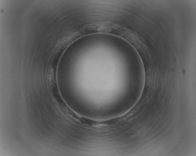 X0000081380748200701111452