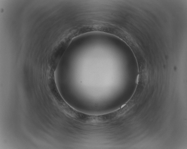 X0000081380750200701111452