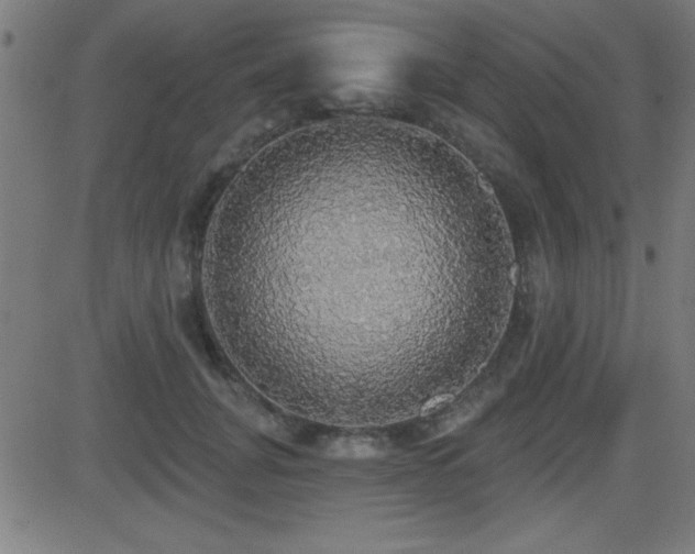 X0000081380751200701111452