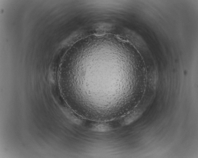 X0000081380755200701111452