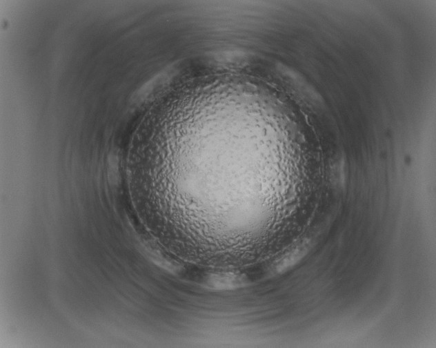 X0000081380757200701111452