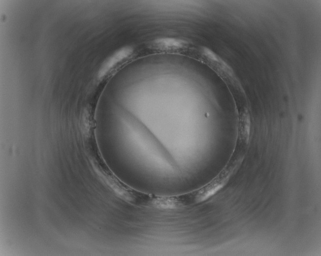 X0000081380762200701111452