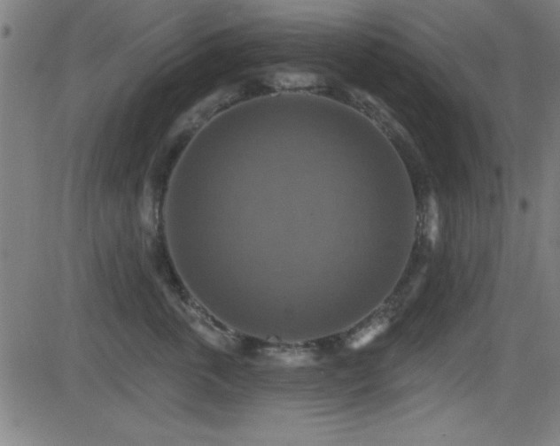 X0000081380763200701111452