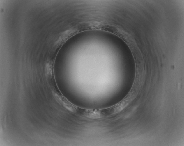 X0000081380768200701111452