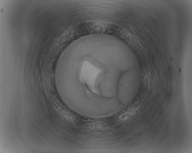 X0000081380769200701111451
