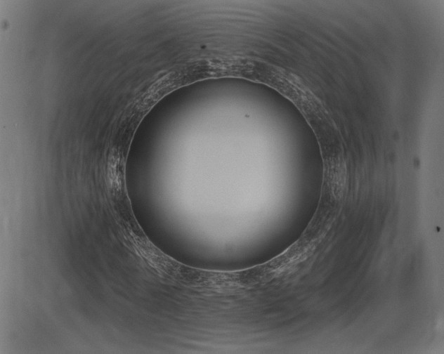 X0000081380770200701111451