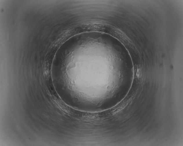 X0000081380771200701111451