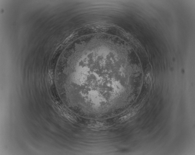 X0000081380772200701111451
