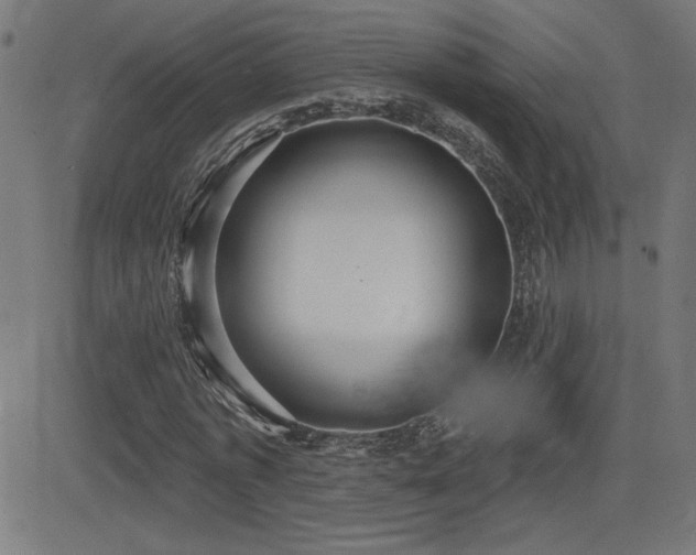 X0000081380773200701111451