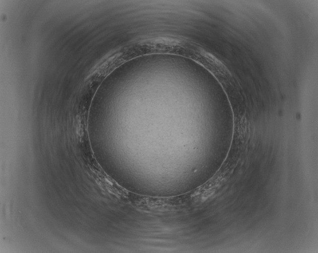 X0000081380774200701111451