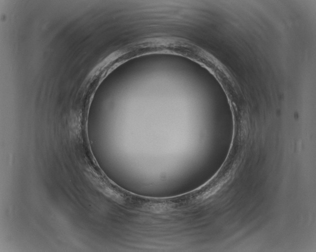 X0000081380778200701111451