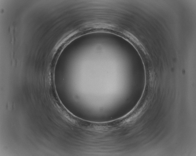 X0000081380782200701111451