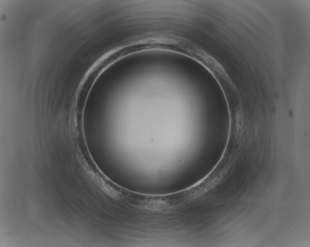 X0000081380784200701111451