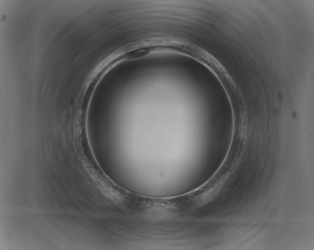 X0000081380786200701111451