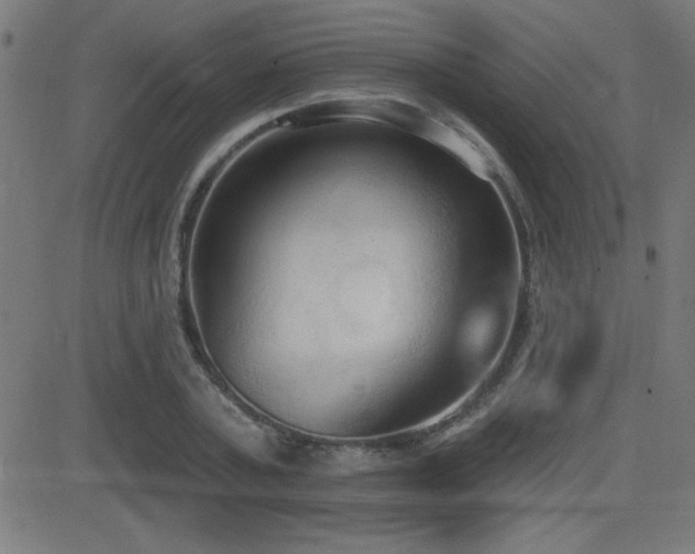 X0000081380787200701111451