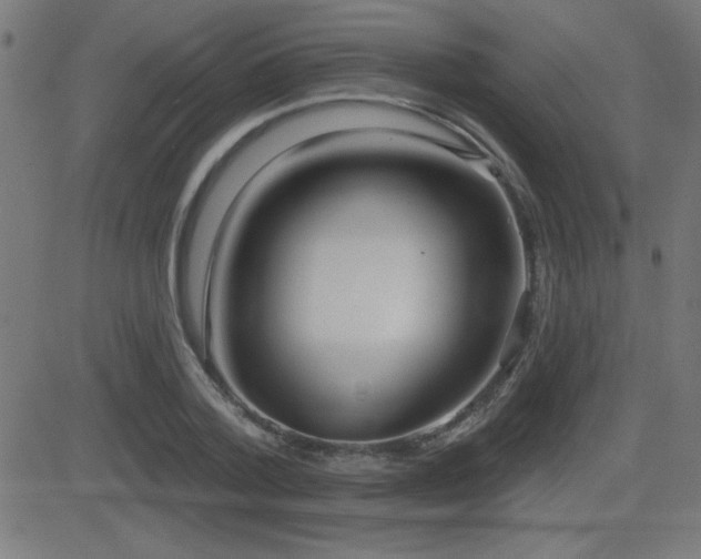 X0000081380788200701111451