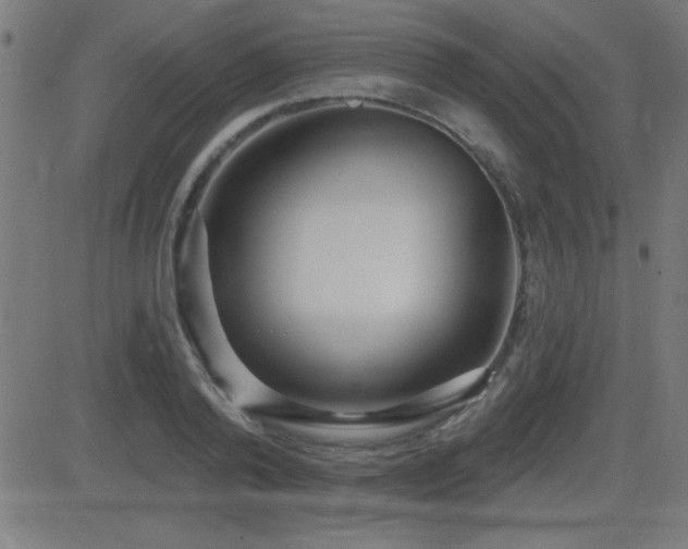 X0000081380792200701111451