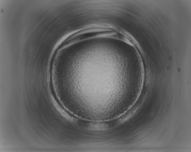 X0000081380795200701111451