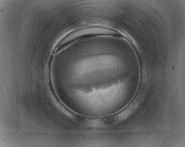 X0000081380798200701111451