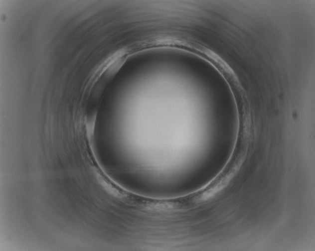 X0000081380801200701111451