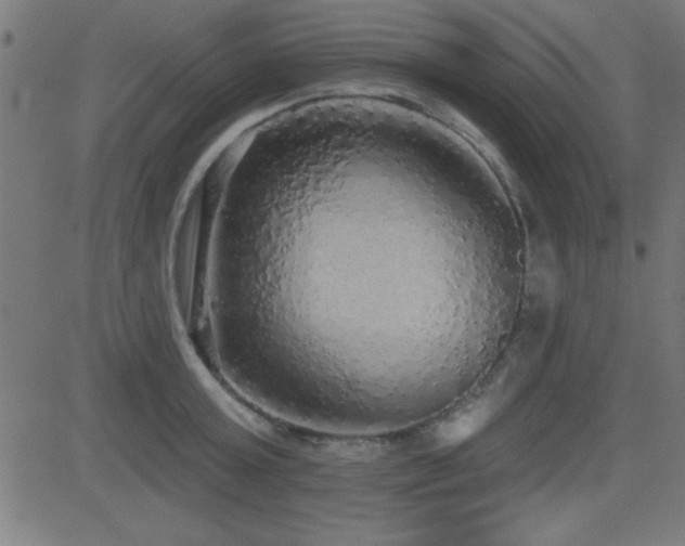 X0000081380803200701111451